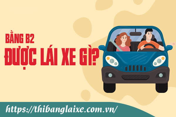 Bằng lái xe B2 đang được nhiều người lựa chọn